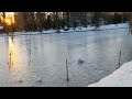 Зима в парке Саратов