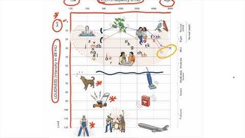 Aural Rehab audiogram/speech banana SPPA 4150
