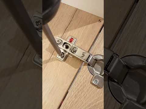 Video: How to remove the doors from the sliding wardrobe on different designs?