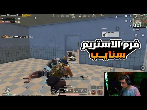 سعدولا وغنيوة ضد ستريم سنايب خنازير صريخ ضحك