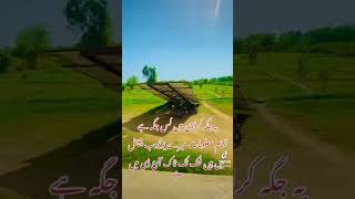 Tubewell Bathing Vlog