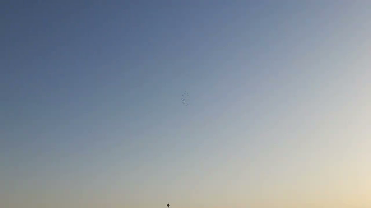 احلى مطيار المخاليف