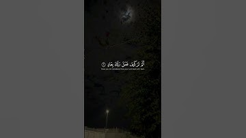 القرئ ياسر الدوسري❤️ سورة الفجر، surat al Fajr, Yasir Al Dousari