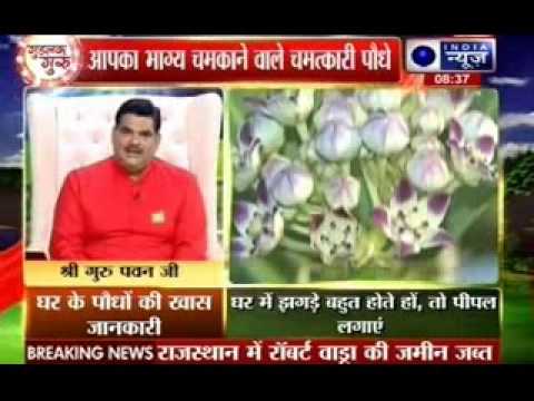आपका भाग्य चमकाने वाले चमत्कारी पौधे | Good Luck Guru with Pawan Sinha  Guruji | India News