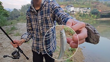 Mình câu cá mương ở hồ thủy điện