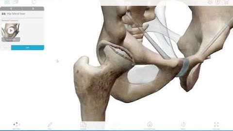 Visible Body | Add an assignment in VB Courseware