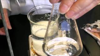Aspirin Lab Part 1 Making the Aspirin