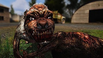 Pseudodog Dragging Corpses - High Res Mutants Addon - Stalker Anomaly