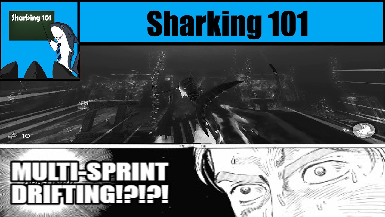 [Sharking 101] Sprinting