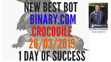NEW CROCODILE BOT ON BINARY.COM 2019   Safe Mode! WITHOUT MARTINGALE!