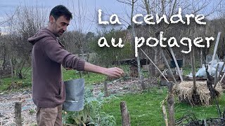 Peut-on mettre la cendre au potager