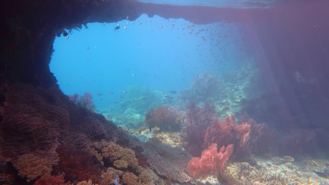 ?Snorkeling Raja Ampat?. Fam Islands. Pulau Rufas HouseReef 