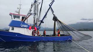 Commercial Fishing For Salmon Southeast Alaska Purse Seining #salmon #fishing #seafood