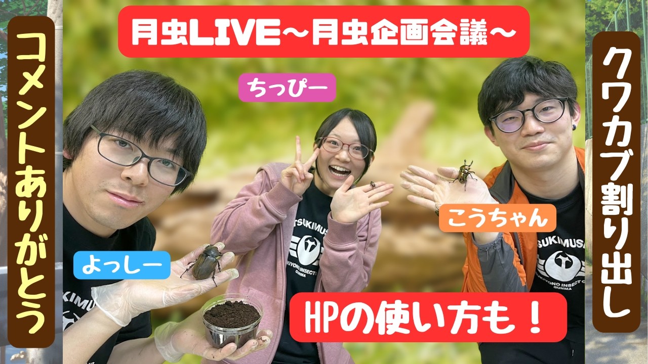 割り出しするよ！なんのクワカブかはお楽しみ♪新しいHPも使ってみるよ！〈2026年2月27日/第26回月虫企画会議〉　#カブトムシ #クワガタ #昆虫 #飼育方法