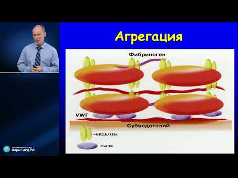 Система гемостаза в интенсивной терапии Мазурок В.А