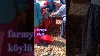 Farmya Köylü Iş Başında