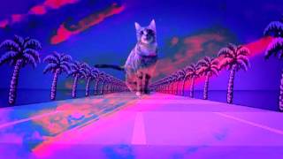 Vaporwave 猫のバナナ He Not Like The Banana