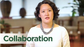 Collaboration: 7 insights on working across divides