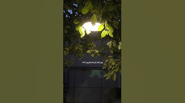 سورة الزمر بصوت القارئ عبدالبديع غيلان