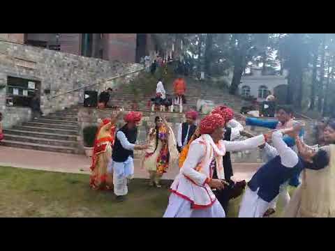 LABASNA Mansuri Meena IAS Dance