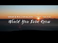 Audien  william black  would you even know lyrics feat tia tia