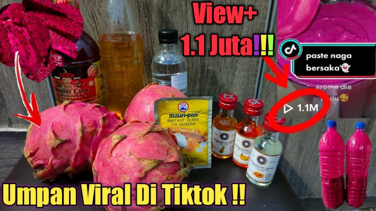 FULL Resepi Umpan Jitu Ikan Air Tawar Paling Viral + Padu (sos buah naga) AUTO STRIKEE!!