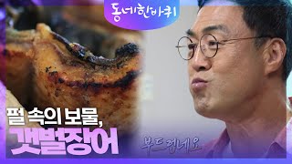 펄 속의 보물, 갯벌장어 [동네 한 바퀴] | KBS 241019 방송