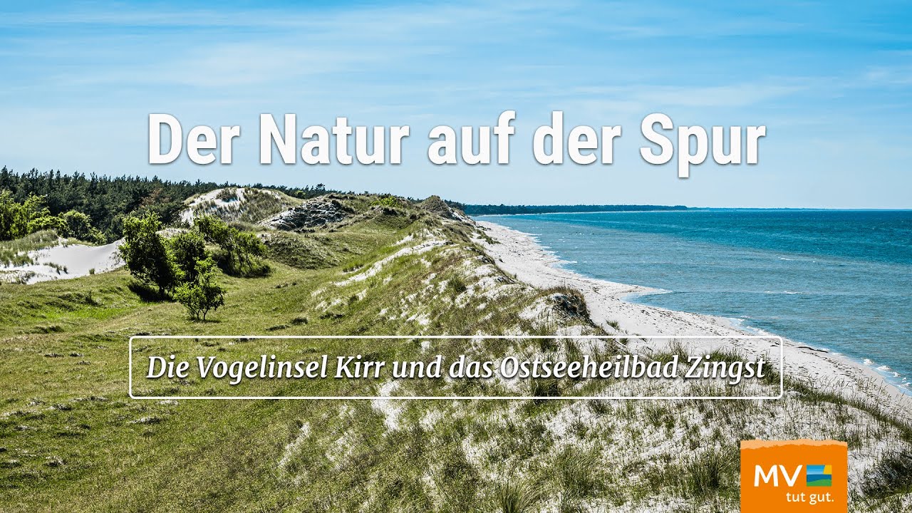 Zingst & Insel Kirr – Naturführungen mit Sylva Juhnke