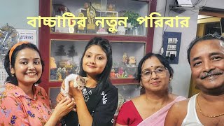 পৃথিবীর সব অসহায় প্রাণ যেন এমন পরিবার পায়!  #cat #catlover #catvideo #kitten #youtube #cats #kittens