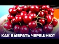 Как правильно выбрать ЧЕРЕШНЮ? ТОП-5 советов