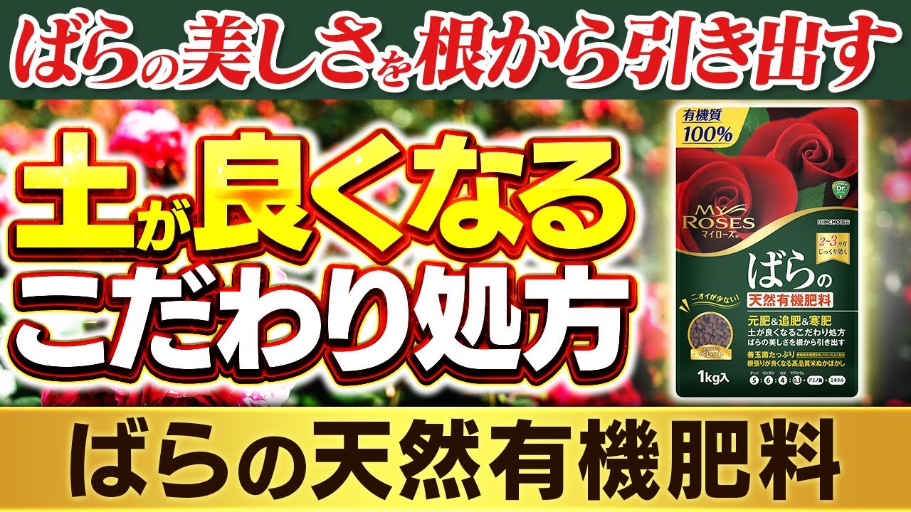ばらの美しさを根から引き出す 土が良くなるこだわり処方～知って得する商品情報（マイローズばらの天然有機肥料）～ガーデンドクターTV54 RM