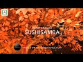 SushiSamba, Amsterdam | allthegoodies.com