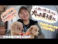 🍪人間も一緒に食べられるおやつを買いに行こう!!🐕あの人のワンちゃんにも遭遇!?📍犬のお菓子屋さんM＆R