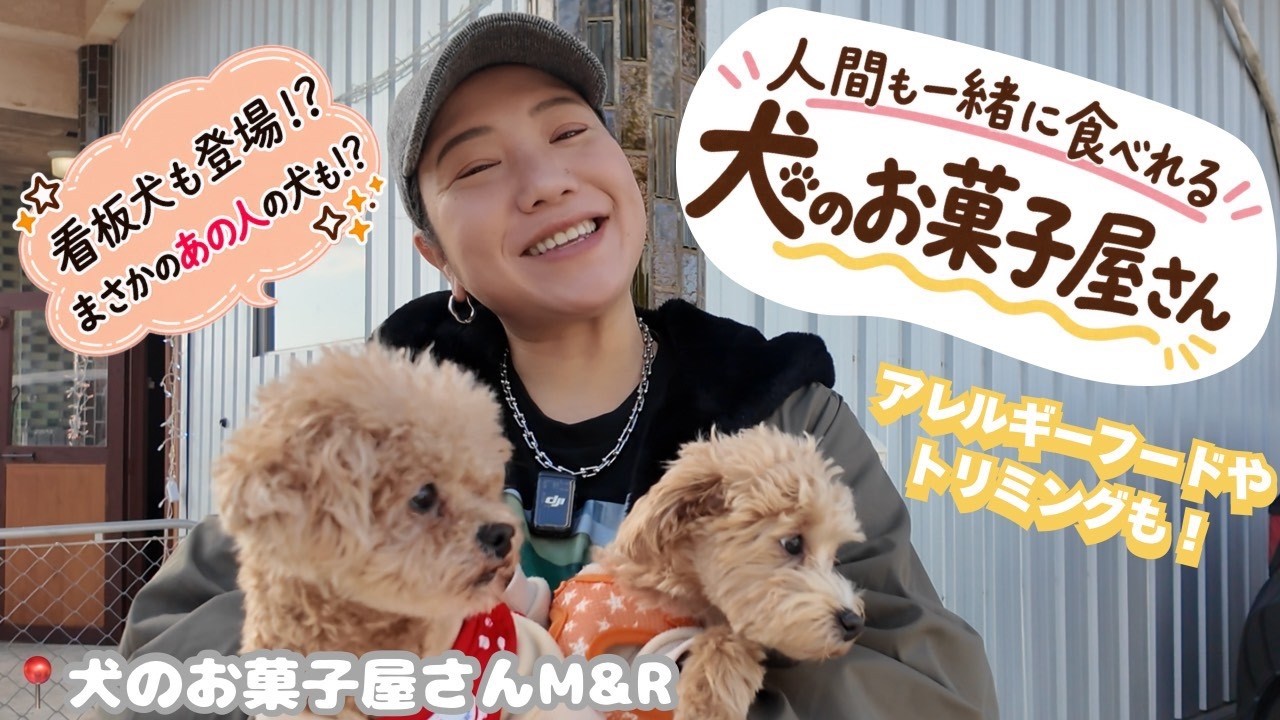 🍪人間も一緒に食べられるおやつを買いに行こう!!🐕あの人のワンちゃんにも遭遇!?📍犬のお菓子屋さんM＆R