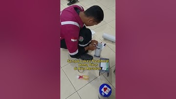 Tugas Luar Kota Teknisi Zero Pest Control Indonesia