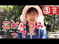 花を元気にするコツ！花がら摘み【アラフィフ園芸】