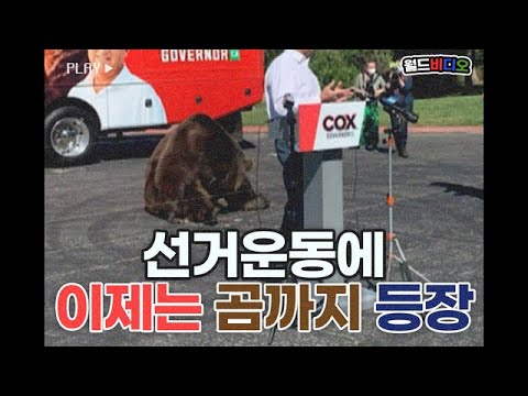 곰 등장!? 서커스야? 선거운동이야?