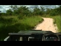 Pt 2 - Marc Tries to Catch up Again with Karula &amp; Cubs - Feb 1, 2011