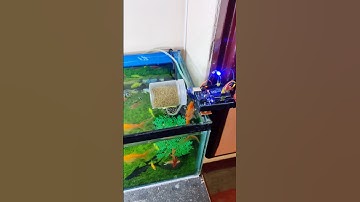 How to make Automatic fish feeder machine #arduino #experiment