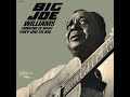 Big Joe Williams - Thinking Of What They Did To Me