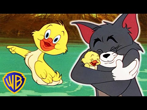 Tom & Jerry | Best Of Little Quacker | Classic Cartoon Compilation | WB Kids