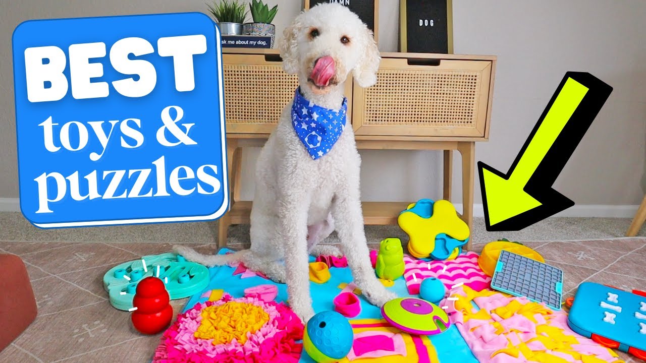 The 8 Best Dog Puzzle Toys in 2023