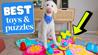 BEST Enrichment Toys & Puzzles 👉 REVIEWED! screenshot 5