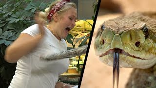 Snakes vs. People - Magic iPad Prank