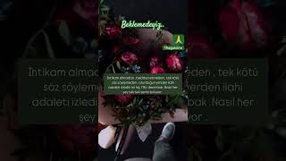 İlahi Adalet Tecelli Eder Şfet