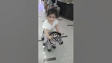 هێلان بەسواری گویدرێژ سیتی سەنتەر 