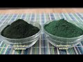 Health Benefits of Spirulina, Top Superfood Protein and Multivitamin