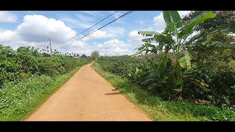 9sào hơn 88m mặt tiền đường. quế dương Hoài Đức Lâm hà Lâm Đồng. 450tr 1 sào. 0988191019