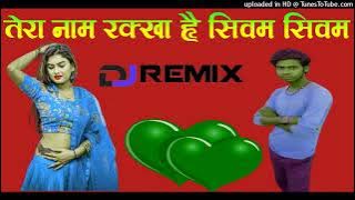 Isliye-teri-ma-ne-tera-naam-rakha-hai-shivam-mix-dj