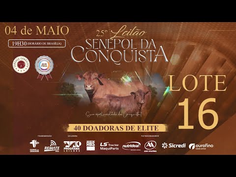 LOTE 16 CONQ 2602